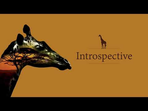 | Introspective | 1 hour of African jungle' sounds at night.