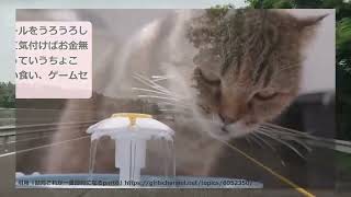 【有益】これが１番節約になる！物価高、原油高騰の今どう節約する？【ガールズちゃんねるまとめ】