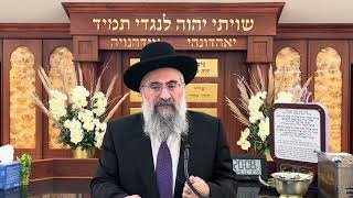 תשובה – השבת אבידה של הקדוש ברוך הוא – על פי הבן איש חי (הרב יצחק ישראלי) - התמונה מוצגת ישירות מתוך אתר האינטרנט יוטיוב. זכויות היוצרים בתמונה שייכות ליוצרה. קישור קרדיט למקור התוכן נמצא בתוך דף הסרטון