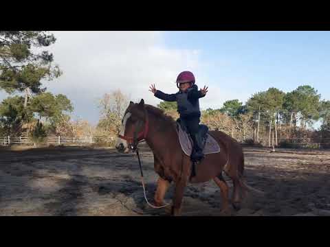 12/12/20 Séance Galops 1/2/3 (1)