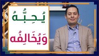 صورة قصة اللغة العربية (13) الأخفش الأوسط - تلميذ سيبويه الذي يحبه ويخالفه