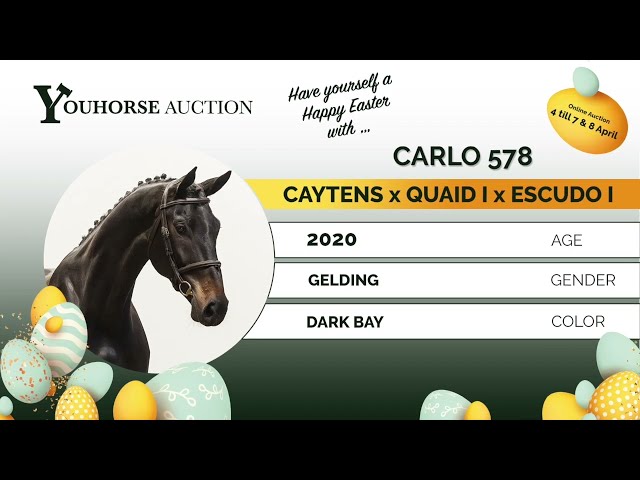 Carlo showvideo indoor