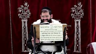 זבחים דף ע"ח ע"ב ¤ הרב נתנאל אברז'ל ¤ בית הכנסת "בית מרדכי" (מוסדות תורת דוד) - התמונה מוצגת ישירות מתוך אתר האינטרנט יוטיוב. זכויות היוצרים בתמונה שייכות ליוצרה. קישור קרדיט למקור התוכן נמצא בתוך דף הסרטון