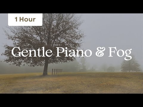 1 Hour of Relaxing Piano Music On A Foggy Day | Gentle Fog Ambience