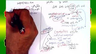 65 √ وثيقة الاسم الموصول image