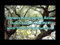 Donkey Kong Jungle Beat Dawn Savanna Retro Remix