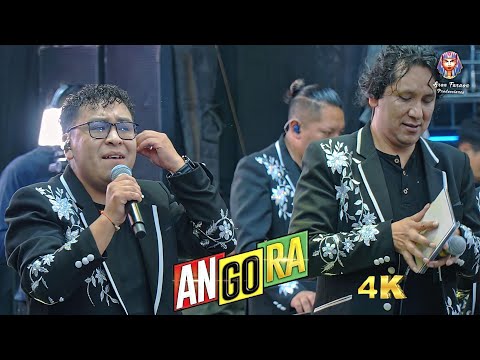 INTERNACIONAL ANGORA 2025