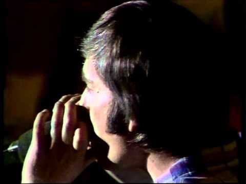 Luděk Nekuda a Plavci - Najdi tón