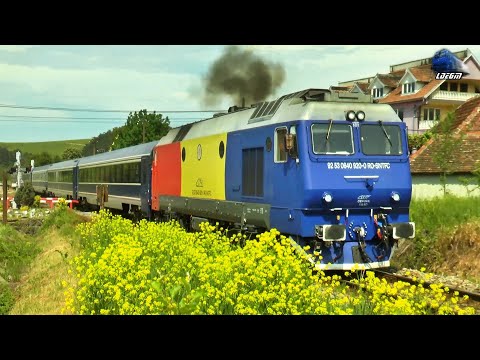 Jimmy Tricolor 64-0920-0 & IR1831 Timișoara Nord-Iași in Bratca - 21 May 2022