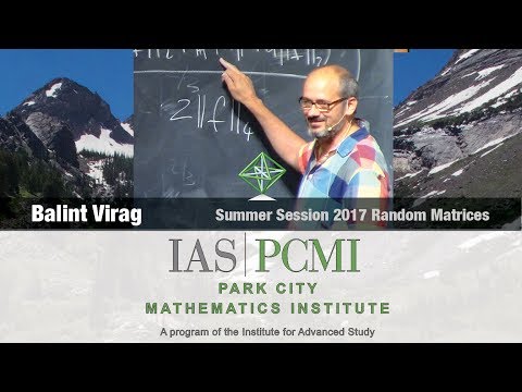 Balint Virag (4.2) Operator limits of random matrices, part 4.2