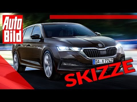 Skoda Octavia (2020): Auto - Neuvorstellung - Skizze - Infos