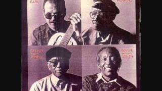 WILLIE PERKINS   Ronnie's Blues