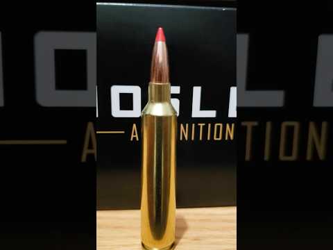 Nosler Varmageddon Bullet Gel Test
