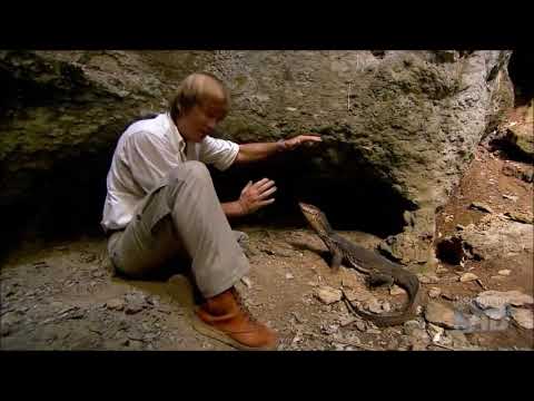 Austin Stevens: Snakemaster - A water monitor encounter | A Week with Austin Stevens
