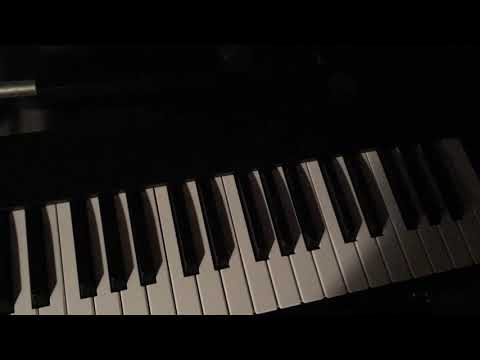 ARP2600 Primeval Forest