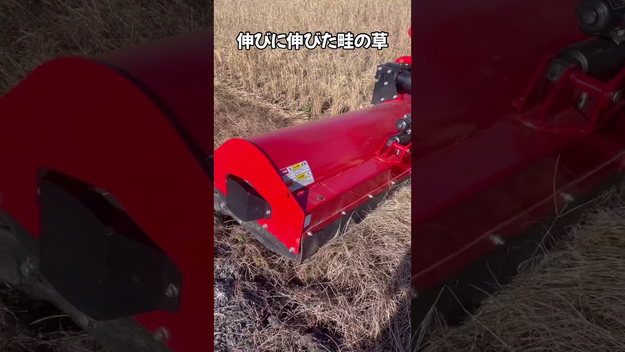【大粉砕】コバシオフセットモアで稲草刈り#shorts