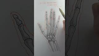 You have the Fibonacci Series in your hand. #goldennumber