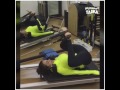 Malaika Arora Khan Hot Workout In Gym