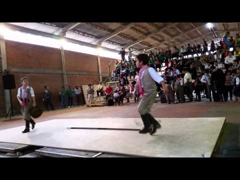 Festimirim 2.015 - Guilherme H. Dallabrida