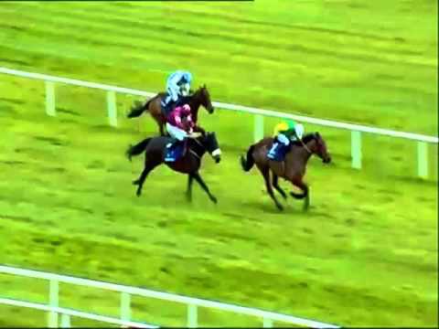 Leopardstown 01/17/2016