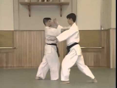 Kata Mochi Nikajo Osae 2