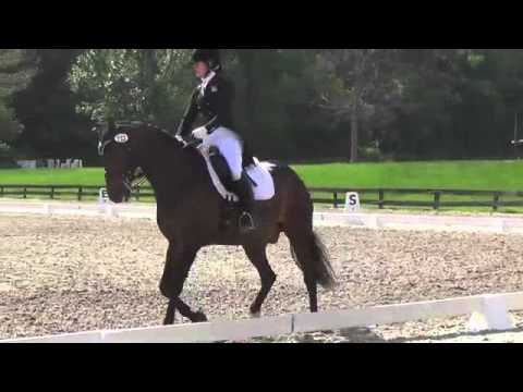 Lillian Simons YRIDP 2016 (FEI Young Rider Individual Test 2015)