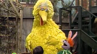 Sesame Street: Big Bird Sings about Mistakes