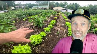 What is this Super El Niño and What Will it Mean for Farmers + An “Easy” Interplant In the Field