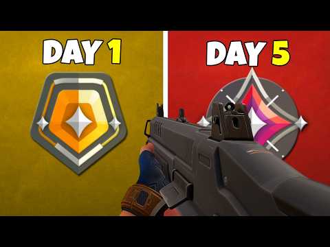 I Played JUDGE ONLY to RANK UP