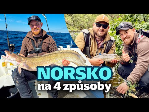 Zkusili jsme různé druhy rybolovu v Norsku! Lov na maso, přívlač i trolling! Rybománie na rybách #26
