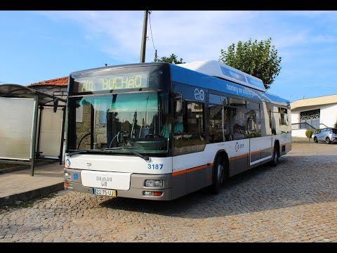 3187 STCP - MAN NL313 CNG Salvador Caetano CityGold MAN 2KD - Linha / Line 701