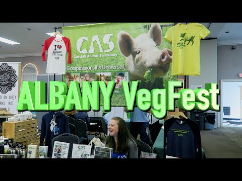 download lagu mp3 mp4 Vegfest 2016, download lagu Vegfest 2016 gratis, unduh video klip Vegfest 2016