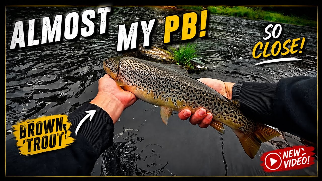 Almost beat my PB brown trout fishing Scotland UK / Pstrągi na muchę, wędkarstwo w Szkocji.