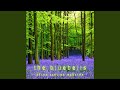The Bluebells