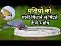 Feeding Birds Eliminates These 7 Evils You Will Be Amazed To Learn The Benefits Of Feeding Birds
