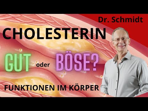 Ist Cholesterin Gut oder Böse? Problem oxidiertes LDL und die Subtypen. Gesund alt werden...
