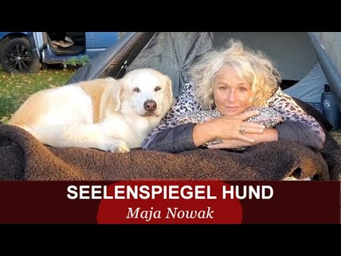 Seelenspiegel Hund - Maja Nowak - Das Interview führt Mieke Mädge
