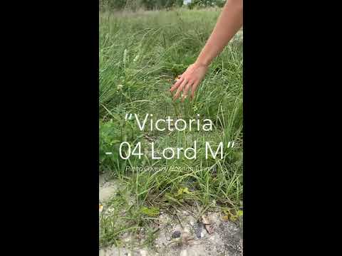"Victoria - 04 Lord M" - Piano Cover by Hannah Tunnell