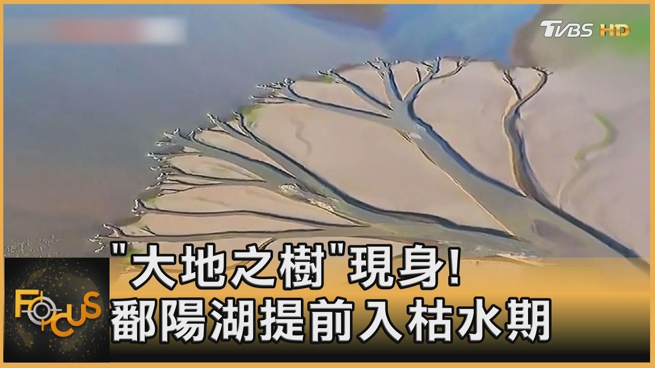 「大地之樹」現身!鄱陽湖提前入枯水期