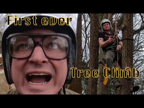 First ever tree climbing experience!