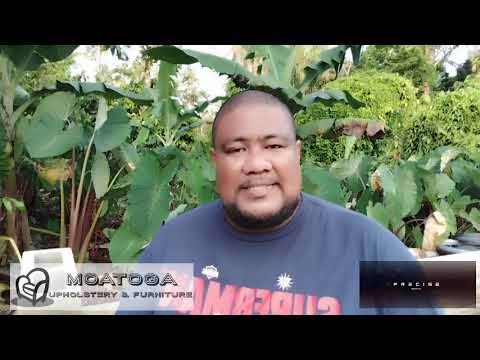 Kota male Faleo'o - Toe faʻasalalauina ole polokalame ole Aso Lulu, 11 o Fepuari 2026.