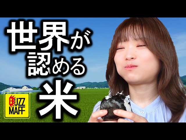【vlog】真夏の北海道日帰り出張