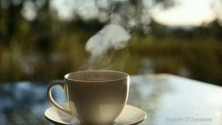 Download lagu Ucapan selamat pagi mp3 Download lagu Ucapan selamat pagi mp3