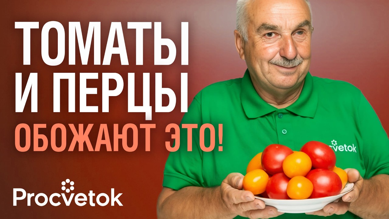У ВАС ВЫРАСТУТ САМЫЕ ВКУСНЫЕ ТОМАТЫ И ПЕРЦЫ, если дадите им эти подкормки!