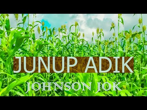 Johnson Jok - Junup Adik_South Sudan Music