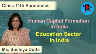 CBSE Class 11 Economics Human Capital Formation in India Education Sector in India |Extraminds
