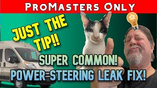 JUST THE TIP: Ram Promaster Power Steering Fluid Cooler Leak EASY Fix Grinding Noise Whiring NICE!