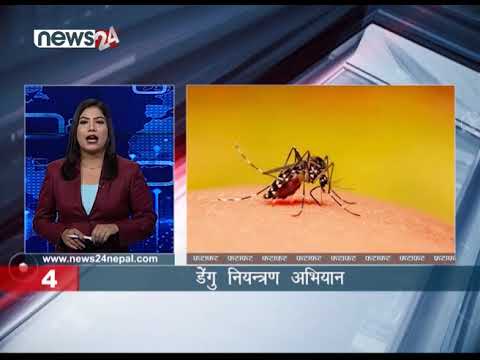 EVENING NEWS FATAFAT - NEWS24 TV