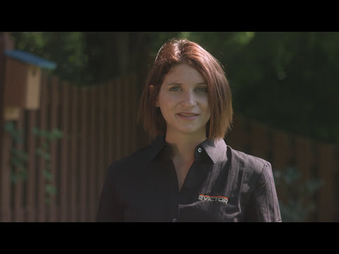 Learn How to Get Rid of Squirrels in Your Attic Quickly Easily Effectively