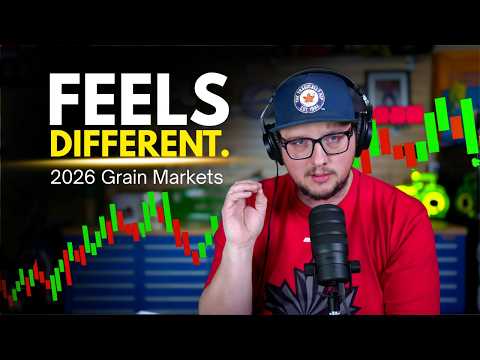 Grain Markets Feel Different in 2026 Canola, Oats & Barley Strategy